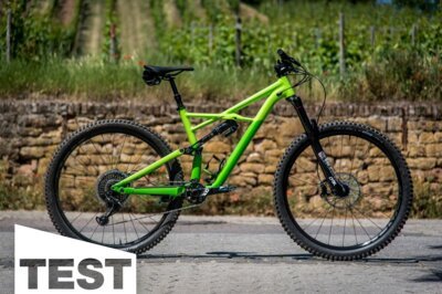 Specialized Enduro 29/6Fattie im Test: Die Trans-Provence-Rennmaschine