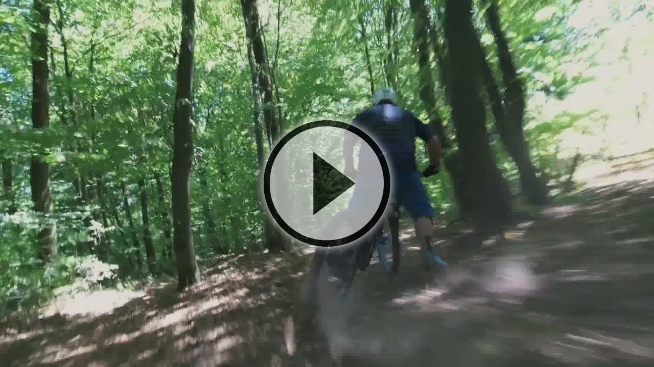 Ride, ride, ride überall! 4K